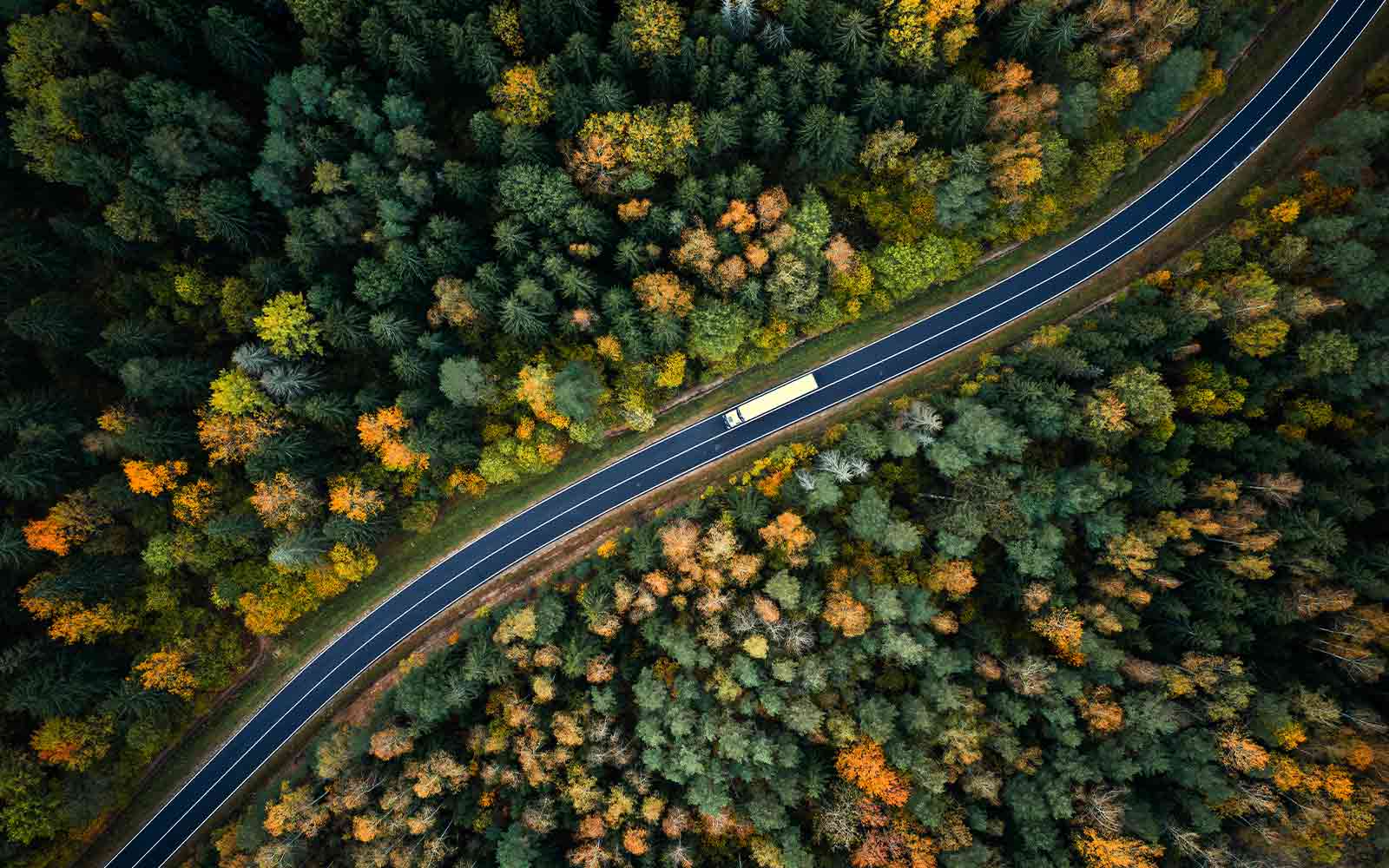 arial view of a road way in dense forests